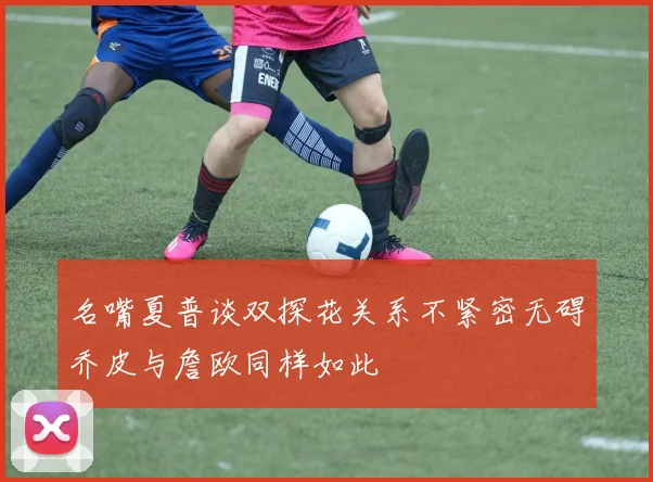 名嘴夏普谈双探花关系不紧密无碍乔皮与詹欧同样如此