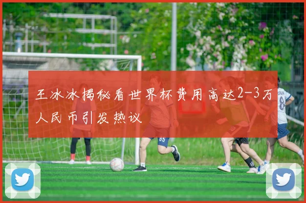 王冰冰揭秘看世界杯费用高达2-3万人民币引发热议