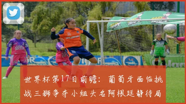 世界杯第17日前瞻：葡萄牙面临挑战三狮争夺小组头名阿根廷静待局势变化